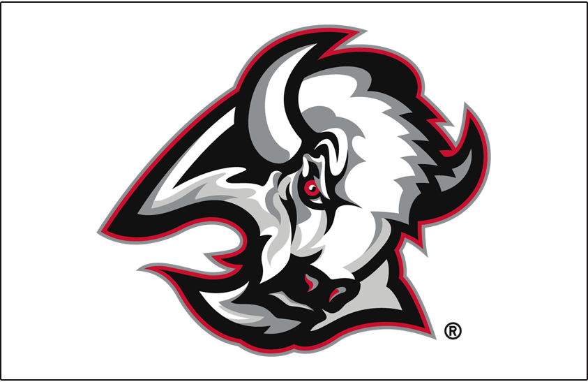 Buffalo Sabres 1999-2006 Jersey Logo fabric transfer